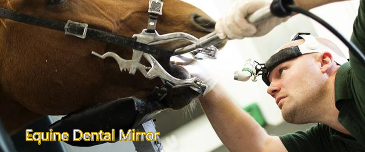 thumbnail interactive-video image 1 of ODM Stainless Steel Equine Dental Examination Mirror – Veterinary Instrument 1 of 4