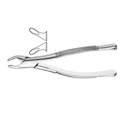 Dental Instruments