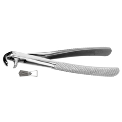 Dental Instruments