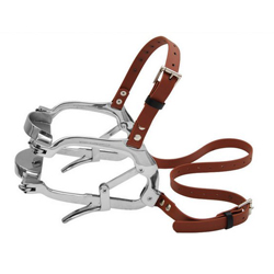 Millennium Speculum