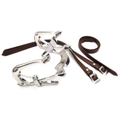 Millennium Speculum