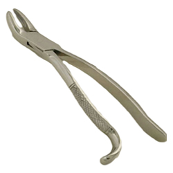 Wolf Tooth Forceps