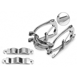 Millennium Speculum