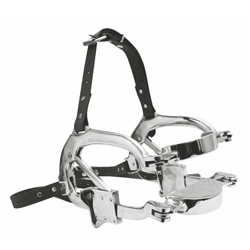 Millennium Speculum
